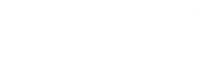 Asociación Scout Exploradores/as Cochafisco Lys 625
